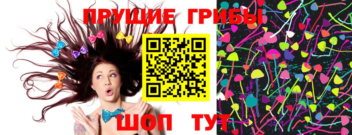 Галлюциногенные грибы GOLDEN TEACHER  Вход с VPN  Псилоцибиновые грибы MAGIC MUSHROOMS  Протвино 